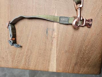 Rogz halsband xs met riem s beschikbaar voor biedingen
