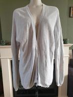 Sissy Boy heerlijke licht grijze cardigan vest mt M 38 40, Maat 38/40 (M), Verzenden, Sissy-Boy, Zo goed als nieuw