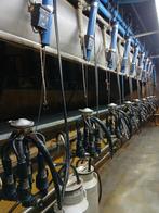 Melkstal, stalinrichting, Zakelijke goederen, Ophalen, Veehouderij, Melktechniek