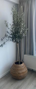 Mooie grote plantenbak, Tuin en Terras, Bloempotten, Ophalen, Overige materialen, Rond, Zo goed als nieuw