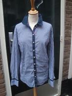 Blauw/witte blouse BASLER maat 46, Kleding | Dames, Blauw, Ophalen of Verzenden, Zo goed als nieuw, Maat 46/48 (XL) of groter