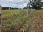Wolwerend afrastering van wijnkoop afrasteringen, Dieren en Toebehoren, Stalling en Weidegang