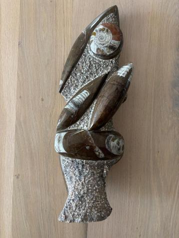 Othocerus Morollo, 4302 gram 40 cm hoog beschikbaar voor biedingen