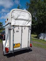 anderhalfs paardetrailer/ schapenkar, Dieren en Toebehoren, Schaap, Mannelijk