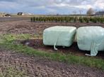 Grote balen hooi., Dieren en Toebehoren, Dierenvoeding, Ophalen, Vee