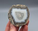 "Coconut" Thunderegg - Las Choyas, Mexico, Ophalen of Verzenden, Mineraal