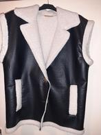 Zwart leren gilet met teddy voering, Kleding | Dames, Ophalen of Verzenden, Zo goed als nieuw, Maat 38/40 (M), Zwart