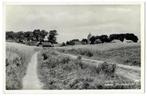 Anloo, Dorpsgezicht, Verzenden, 1940 tot 1960, Gelopen, Drenthe