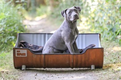 Stoere Industriële Hondemand – Gemaakt van een Oud Olievat!, Dieren en Toebehoren, Hondenmanden, Nieuw, Overige, Ophalen of Verzenden