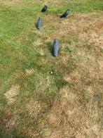 Te koop lokkraaien, Ophalen of Verzenden, Gebruikt