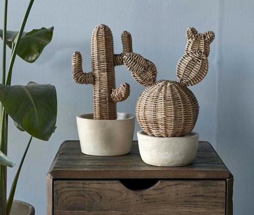 2 pcs  rivièra maison cactus, Huis en Inrichting, Woonaccessoires | Overige, Nieuw, Ophalen of Verzenden
