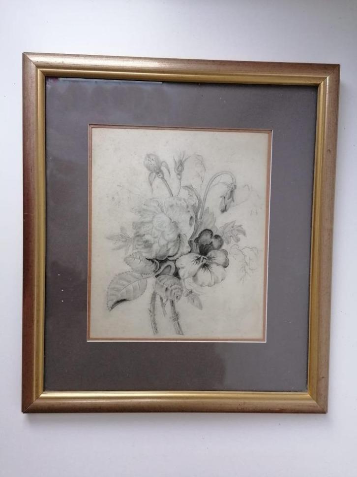 Fijn botanisch kunstwerk – originele potloodtekening, Antiek en Kunst, Kunst | Tekeningen en Foto's, Ophalen
