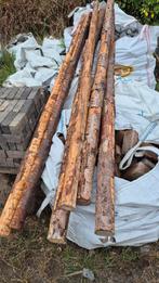 MOOIE DOUGLAS PALEN 3M. MEERDERE LEVERBAAR, Ophalen of Verzenden, Gebruikt, 250 cm of meer, Palen