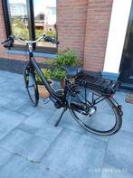 Bijna nieuw Prophete e-bike merk Blaupunkt®, Fietsen en Brommers, Elektrische fietsen, Zo goed als nieuw, Minder dan 47 cm, 50 km per accu of meer