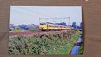 Foto TREIN NS Nederlandse Spoorwegen SGM Sprinter Plan Y, Verzenden, Gebruikt, Trein, Overige typen
