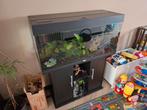 Juwel rio 180 met toebehoren, Dieren en Toebehoren, Ophalen, Zo goed als nieuw, Gevuld zoetwateraquarium