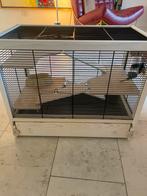 Ferplast hamsterville houten hamsterkooi, Dieren en Toebehoren, Knaagdieren en Konijnen | Hokken en Kooien, Kooi, Gebruikt, Minder dan 75 cm
