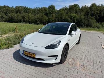 Tesla Model 3 2022 Wit met 60 kWh LFP HW3 19" velgen,  Ryzen beschikbaar voor biedingen