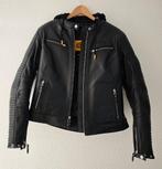 ZGAN Segura Dorian 2 Lady Dames leren Motorjas Jas Motor, Motoren, Kleding | Motorkleding, Jas | textiel, Ophalen of Verzenden
