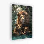 Plexiglas Schilderij | van €79,95 voor €54,95 | 60x90 cm, Huis en Inrichting, Woonaccessoires | Schilderijen, Tekeningen en Foto's