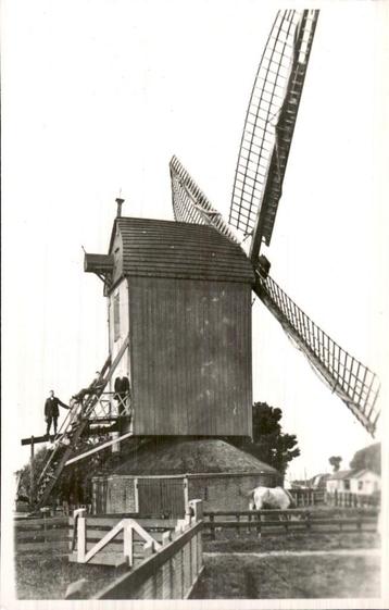Windmolen - houten beltmolen met paard beschikbaar voor biedingen