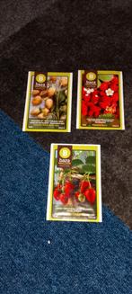 Zaadjes aardbeien, Verzenden, Volle zon, Zaad