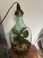 Flestuin ecosysteem plant in bolfles met lamp, Huis en Inrichting, Kamerplanten, Ophalen, Overige soorten, Halfschaduw, In pot