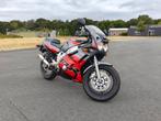 Yamaha FZR 600 (3HE), Particulier