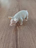 EEN BIGGETJE, Ophalen of Verzenden, Zo goed als nieuw, Boerderijdier, Opgezet dier