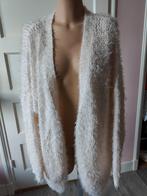 Harig Champagne kleur zacht vest L-xl bohemian Ibiza chique, Kleding | Dames, Ophalen of Verzenden, Zo goed als nieuw, Maat 46/48 (XL) of groter