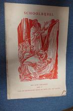 Schoolbijbel, Boeken, Schoolboeken, Ophalen of Verzenden, Gelezen, Overige niveaus, Godsdienst en Levensbeschouwin
