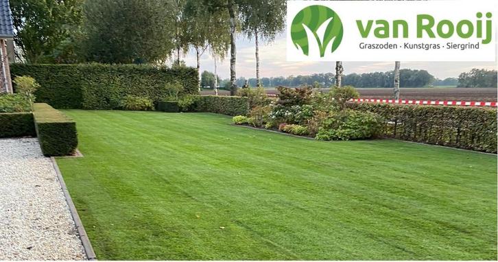 Graszoden - aanleg of vervangen - afhalen/bezorgen, Tuin en Terras, Gras en Kunstgras, Nieuw, Gras, Ophalen of Verzenden