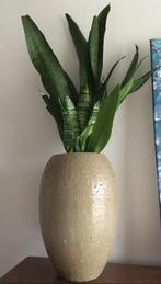 grote olijfgroene terracotta vazen hoge bloempotten handwerk, Tuin en Terras, Bloempotten, Rond, Binnen, Ophalen of Verzenden