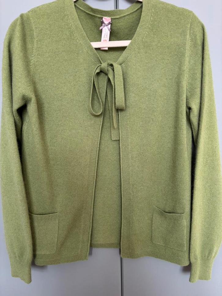 Prachtig Laurél kasjmier trui maat 36/38, Kleding | Dames, Truien en Vesten, Zo goed als nieuw, Maat 38/40 (M), Groen, Ophalen