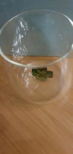 Waterglas Sissy-boy (met klavertje vier) nieuw, Huis en Inrichting, Keuken | Servies, Glas of Glazen, Nieuw, Ophalen of Verzenden
