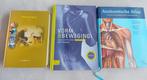 Studie bewegingsagoog / mensendiek, Ophalen of Verzenden, Zo goed als nieuw, Overige niveaus, Nederlands