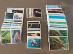 Freek Vonk AH - Oceaanplaatjes restant EUR 7,50, Ophalen of Verzenden, Nieuw, Meerdere stickers
