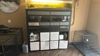 Complete Kallax aquariums incl. Kast, Dieren en Toebehoren, Vissen | Aquaria en Toebehoren, Ophalen, Gebruikt, Gevuld zoetwateraquarium