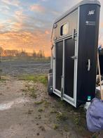 I for williams - 1,5 paards, Dieren en Toebehoren, Ophalen, Zo goed als nieuw, Overige soorten