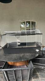 Konijnenhok, Dieren en Toebehoren, Knaagdieren en Konijnen | Hokken en Kooien, Ophalen, 110 cm of meer, Zo goed als nieuw, 90 cm of meer
