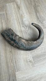 Decoratieve Buffelhoorn, Ophalen of Verzenden, Zo goed als nieuw