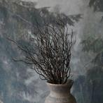 Bosje bessentakken bruin., Ophalen of Verzenden