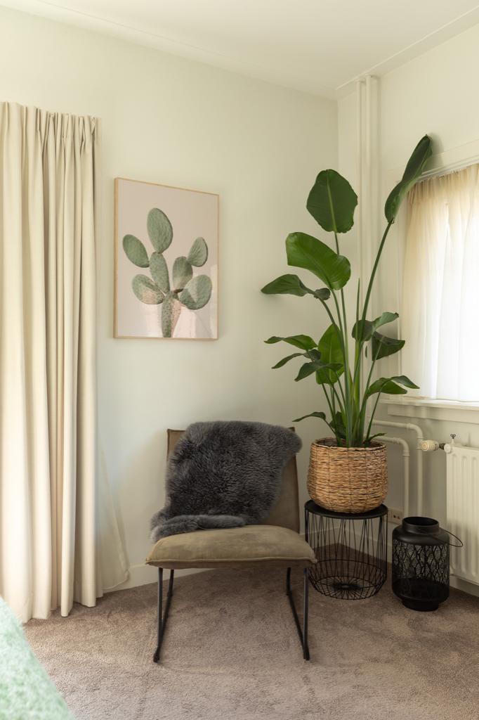 Modern schilderij met cactus, Ophalen, Minder dan 50 cm, 50 tot 75 cm, Nieuw