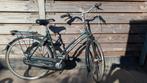Gazelle Avignon framemaat 54, Ophalen, Versnellingen, Gazelle, 53 tot 56 cm