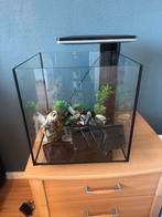 Aquarium 30 liter, Ophalen, Zo goed als nieuw, Leeg aquarium