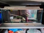Oud model aquarium, mag weg teab!, Dieren en Toebehoren, Vissen | Aquaria en Toebehoren, Ophalen, Gebruikt, Leeg aquarium