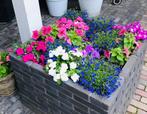 **MOET WEG** Steenstrips bloembak, Tuin en Terras, Bloembakken en Plantenbakken, Overige materialen, Vierkant, Ophalen of Verzenden