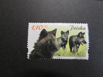 Postzegel Polen: Wilde- en Huisdieren: Wolf uit 2002. beschikbaar voor biedingen