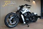 Harley Davidson V-Rod Muscle Custom VRSCF (2009) *Org.NL*, Motoren, Motoren | Harley-Davidson, 2 cilinders, HARLEY-DAVIDSON, Motorrijbewijs A