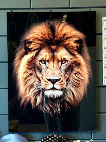 Summer Sale: Prachtige Leeuw plexiglas schilderij beschikbaar voor biedingen